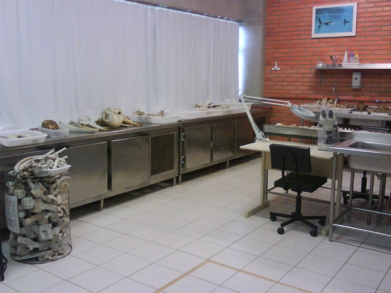Laboratórios