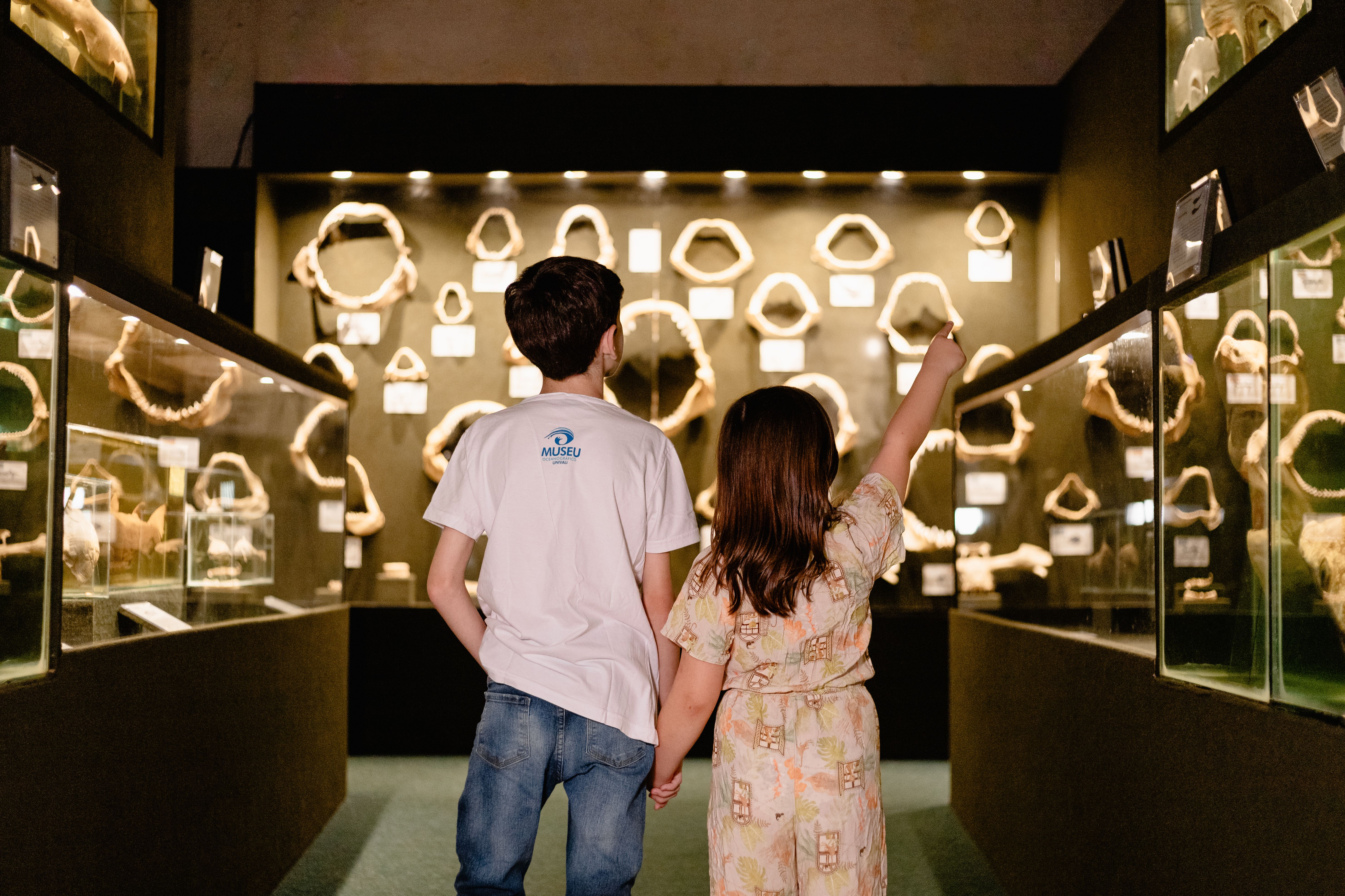 Exposição climatizada e acessível