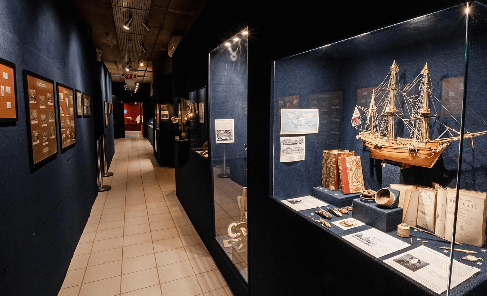 Esta ala conta a história da vida através de fósseis de cada era geológica. Peças históricas contextualizam o fascínio das antigas civilizações pelo mar, contando como foram as grandes navegações de descobrimento e apresentando os grandes expoentes da oceanografia. Também são apresentadas as modernas tecnologias de exploração oceânica.