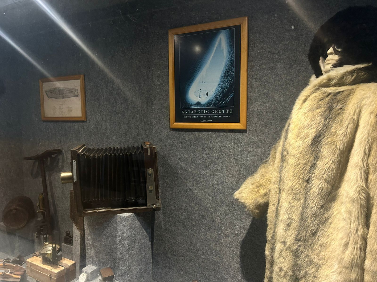 Uma ampla ala composta por cinco salas dedicadas ao Ártico e, principalmente, à Antártica, com destaque para o Programa Antártico Brasileiro. É uma das exposições mais completas da América Latina sobre o tema, oferecendo um mergulho no fascinante universo polar.